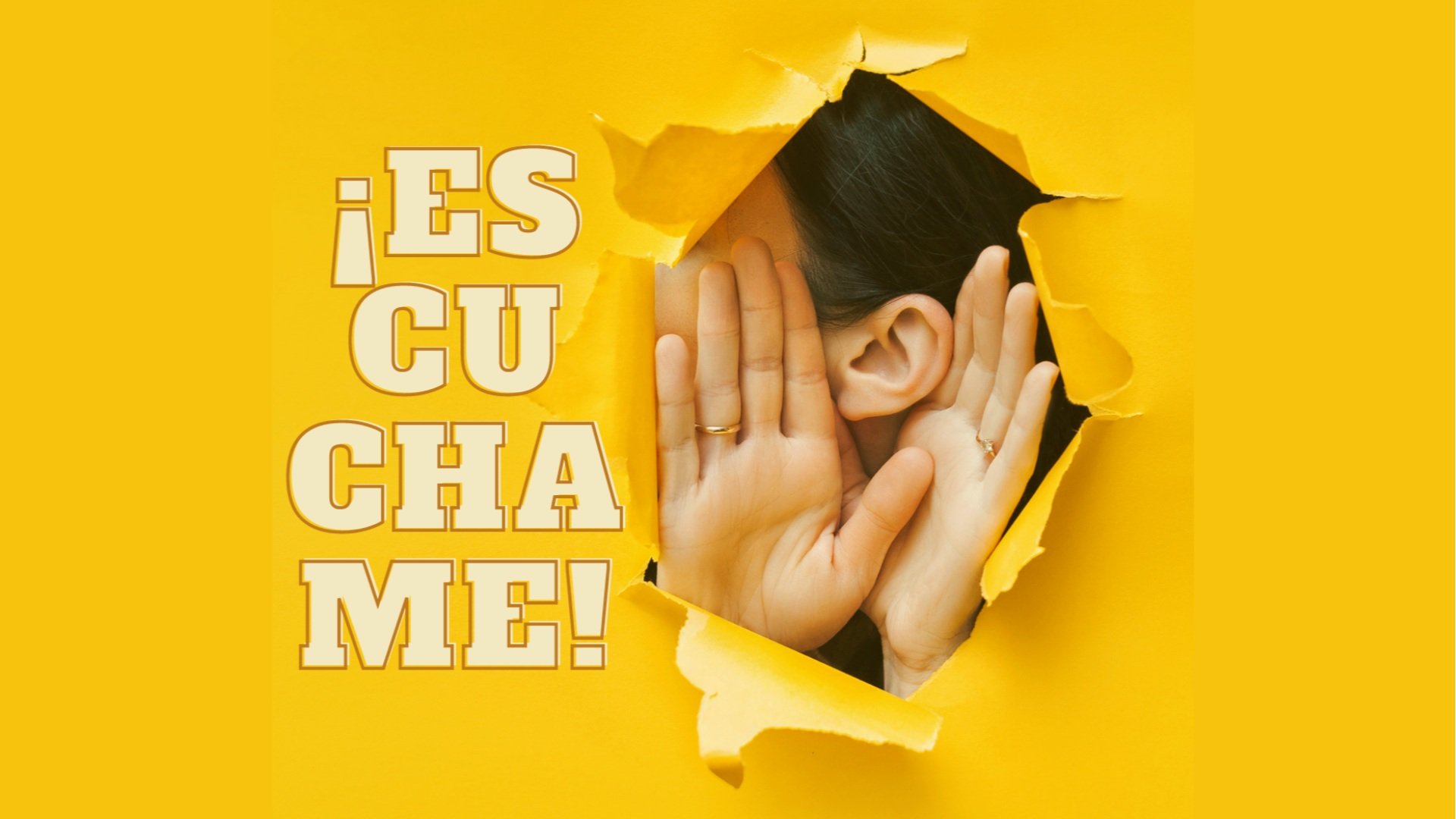 Setting the stage for bilingual content