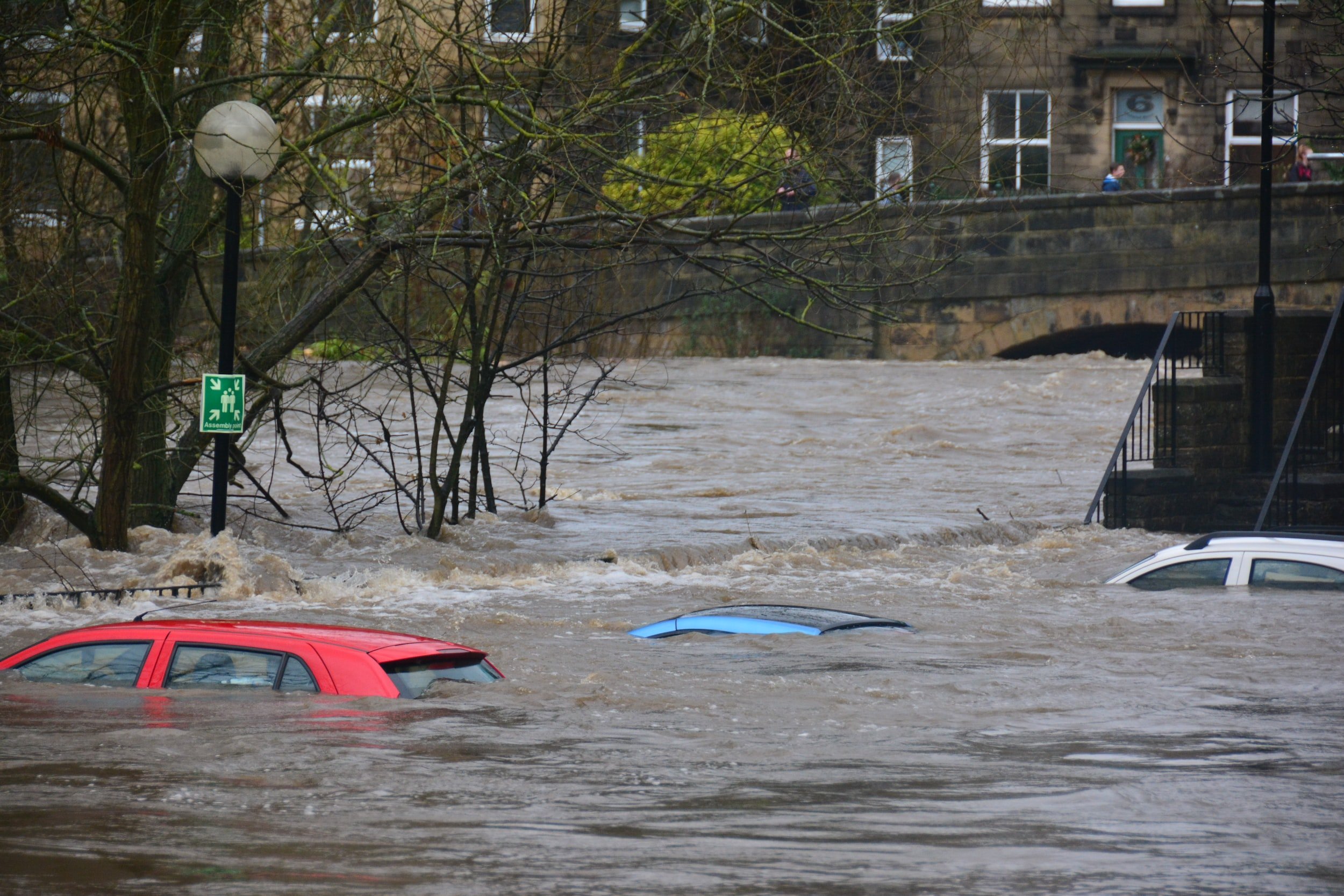 The roofs of three cars are peeking over the water in the midst of heavy flooding that reaches almost to the treetops.